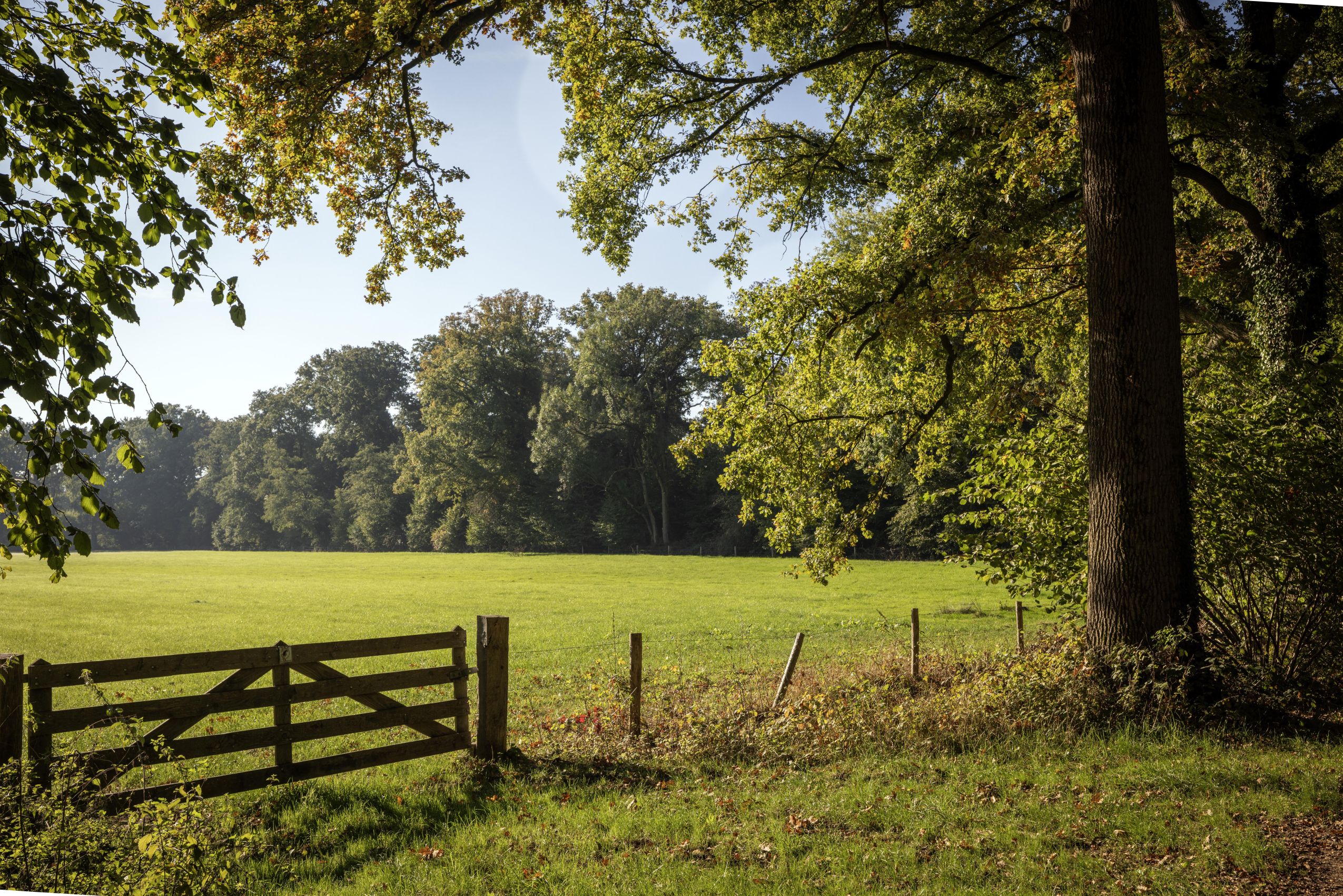 Hatertse Broek-Nazomer-2025