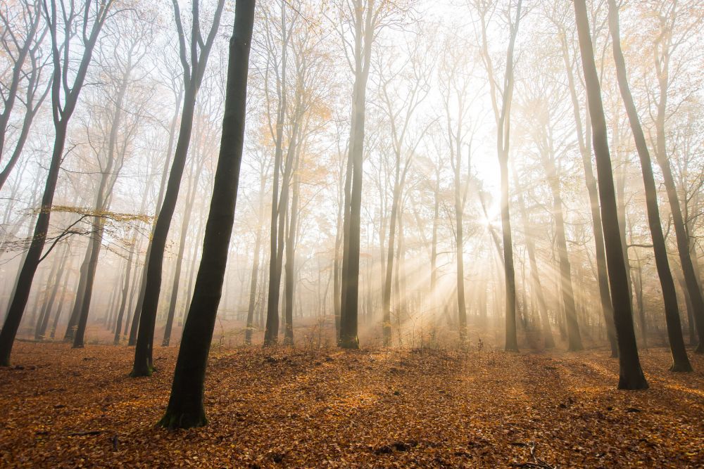 Natuurmonumenten-Danny Slijfer-1920-NAMO117265 (1)