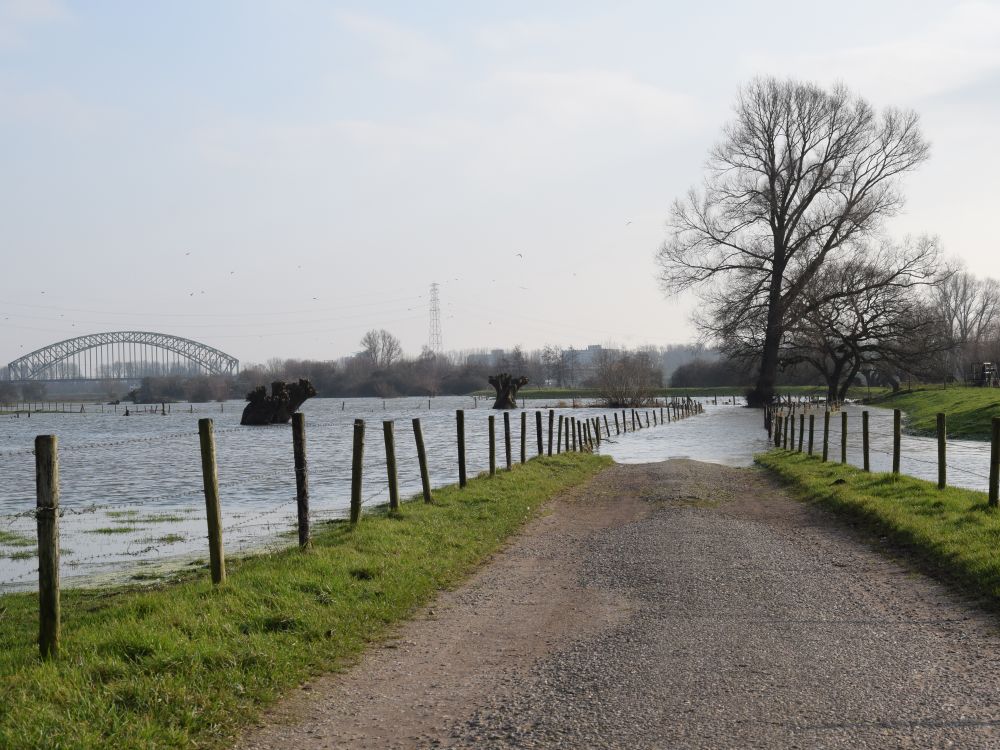 Rosande Polder-hoogwater-Floor ten Brink (FtB)-MF17596_klein