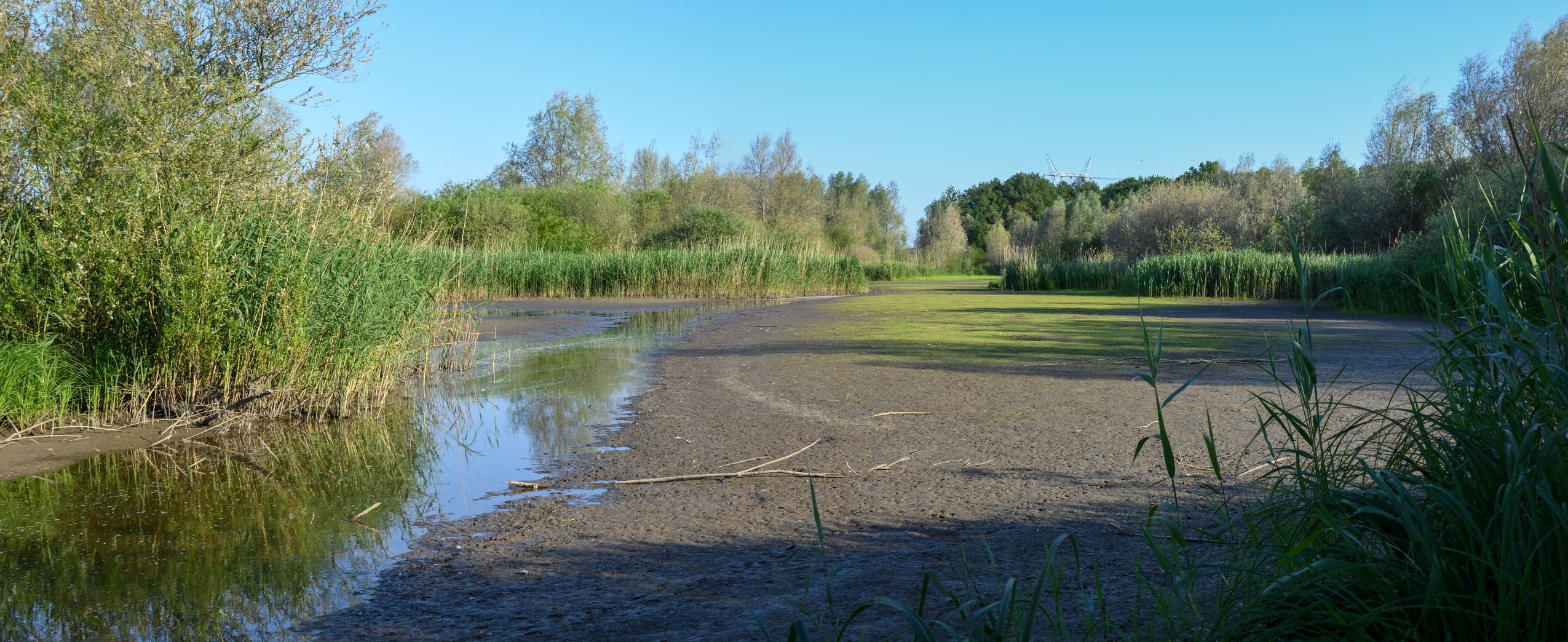 Drooggevallen (oostelijke) deel van de kolk.