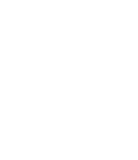 bloemen wit