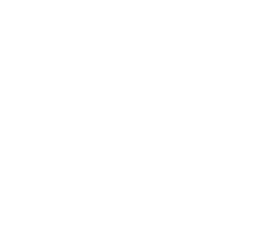 bomen wit